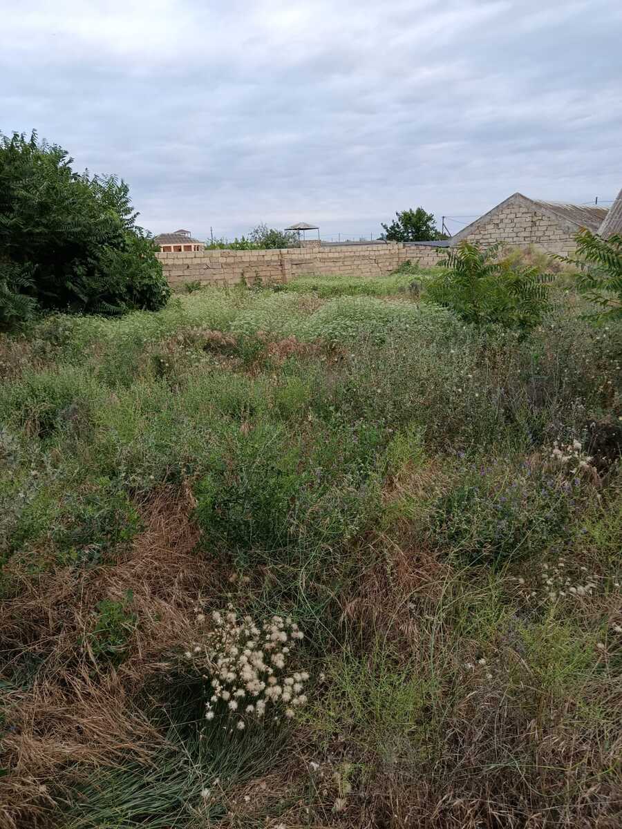 Satılır torpaq 9 sot — Torpaq, Bakı