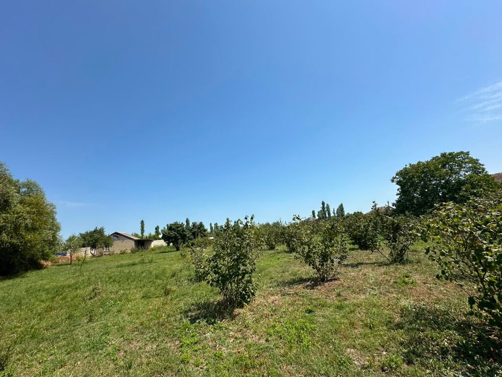 20 sot, Tikinti, Mülkiyyətçi, Kupça (Çıxarış) — Torpaq, Xaçmaz (4)