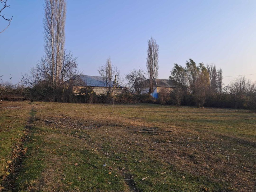 Satılır torpaq 25 sot — Torpaq, Göyçay (10)