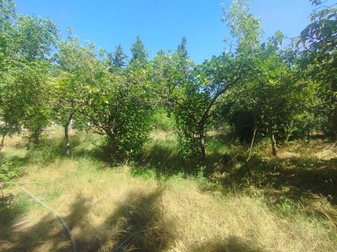 Satılır 5 otaqlı həyət evi/bağ evi 220 m² — Ev, villa, Bakı (8)