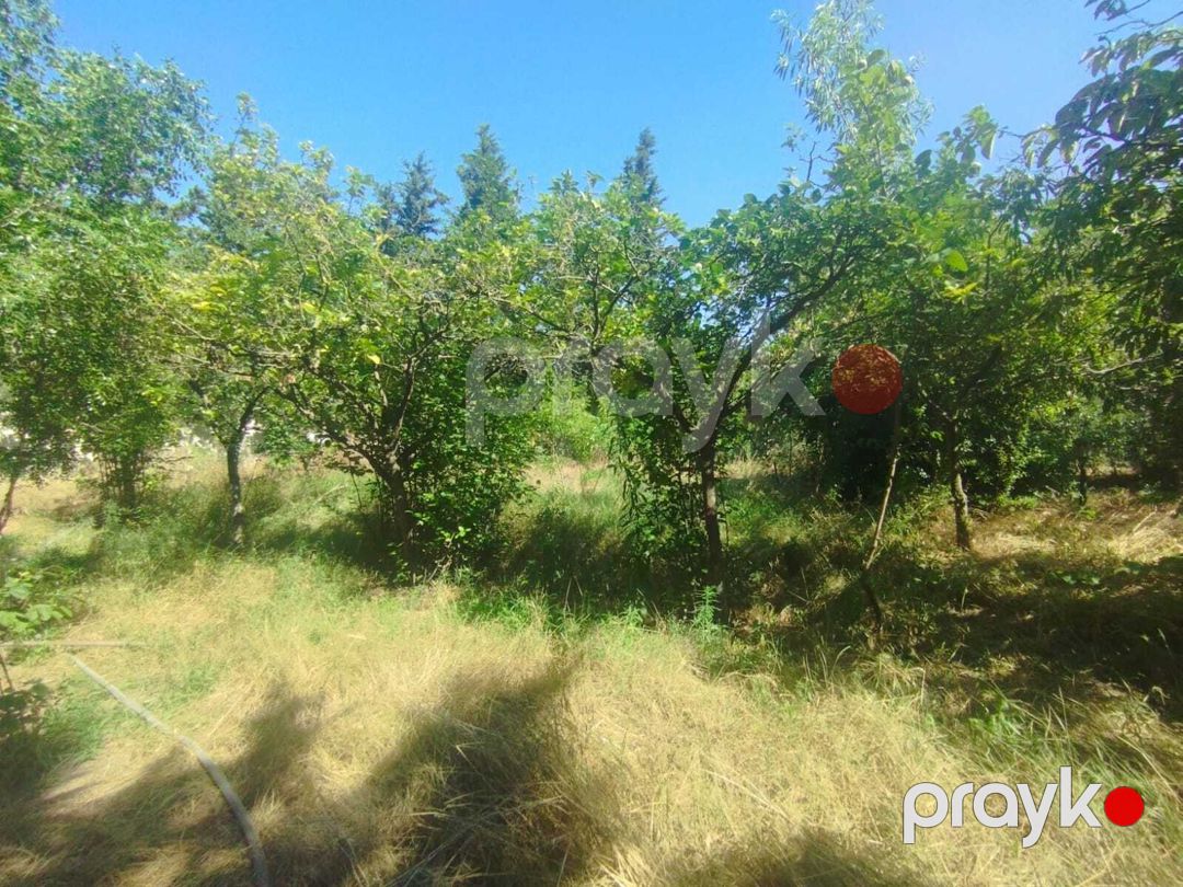 Satılır 5 otaqlı həyət evi/bağ evi 220 m² — Ev, villa, Bakı (8)