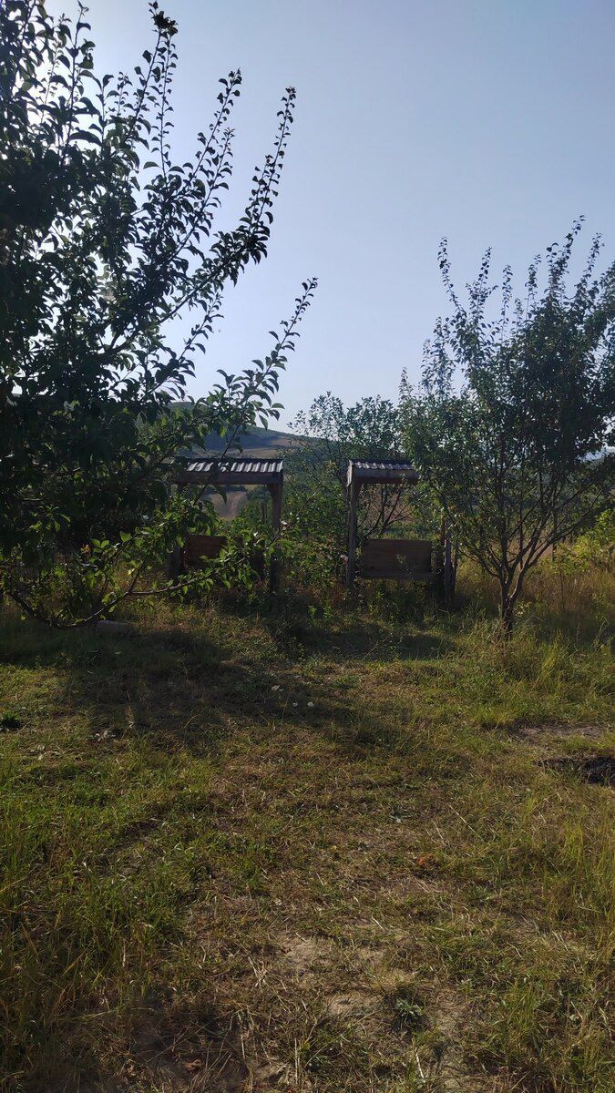 Həyət evi, Şamaxı r — Ev, villa, Şamaxı (8)
