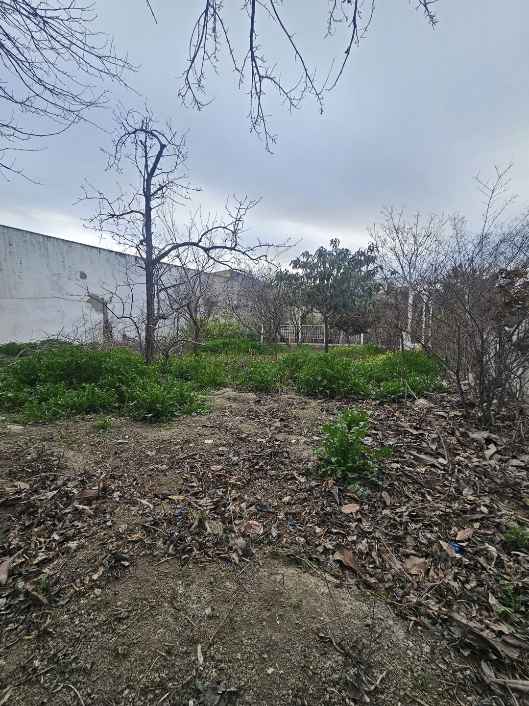 Satılır torpaq 9 sot — Torpaq, Bakı (2)