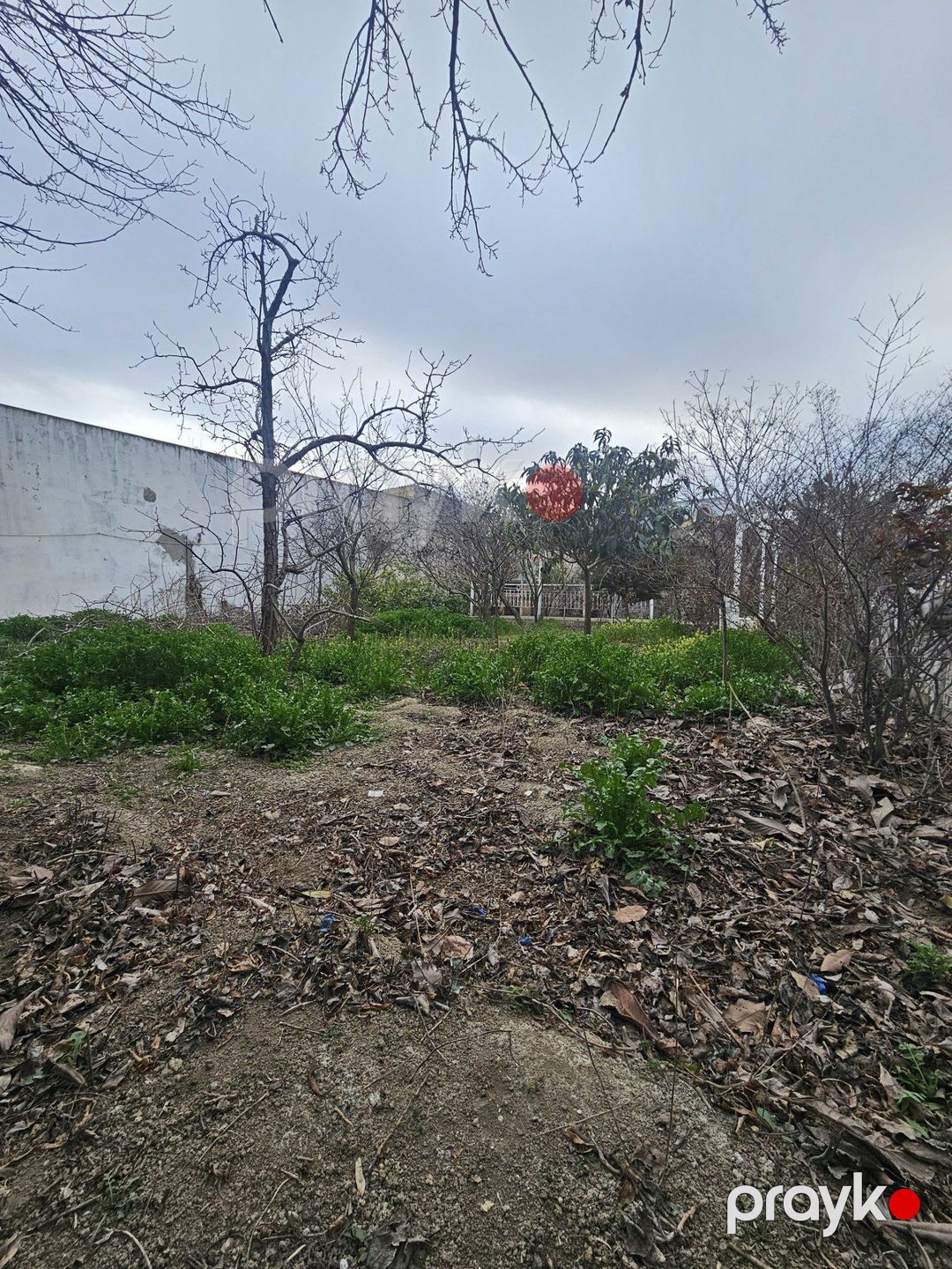 Satılır torpaq 9 sot — Torpaq, Bakı (2)