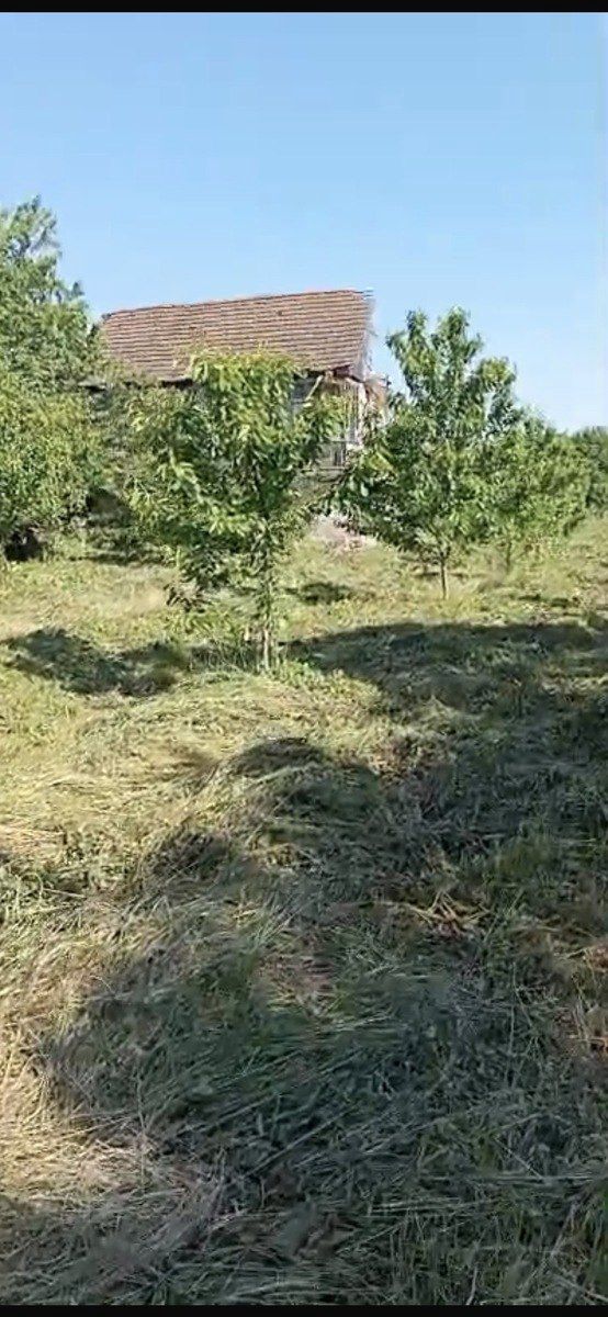 Satılır 5 otaqlı həyət evi/bağ evi 83.6 m² — Ev, villa, Quba (2)