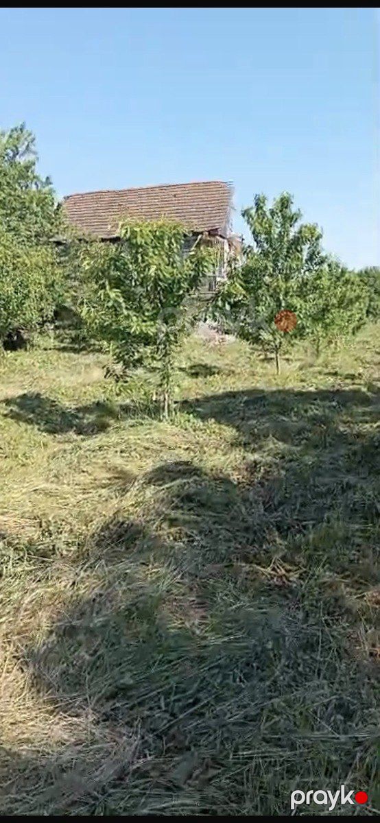 Satılır 5 otaqlı həyət evi/bağ evi 83.6 m² — Ev, villa, Quba (2)