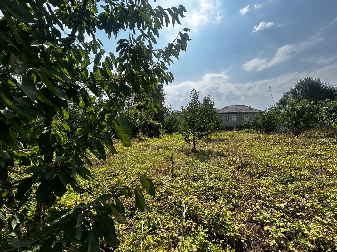 Satılır 5 otaqlı həyət evi/bağ evi 83.6 m² — Ev, villa, Quba (3)