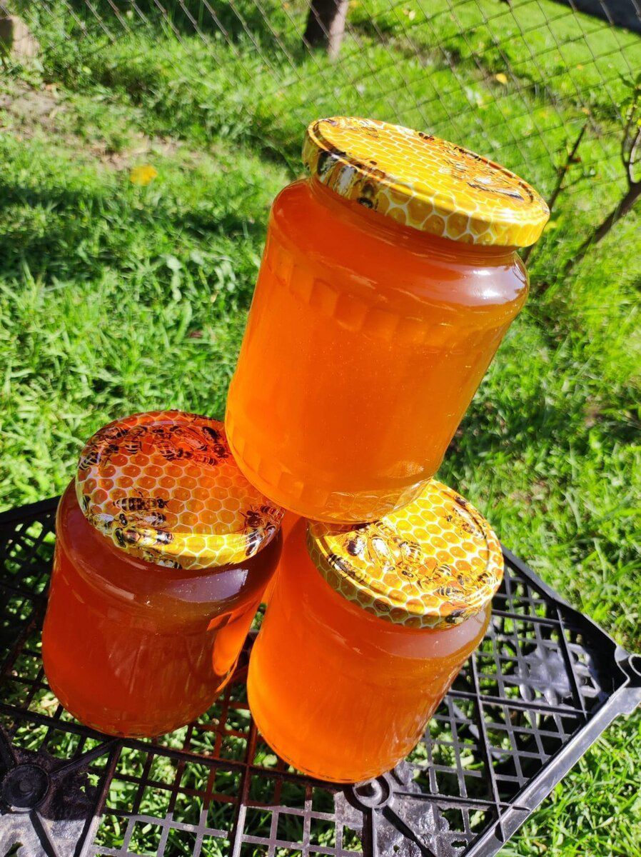 Zaqatala balı 100% natur — Toyuq və xoruz, Zaqatala (4)