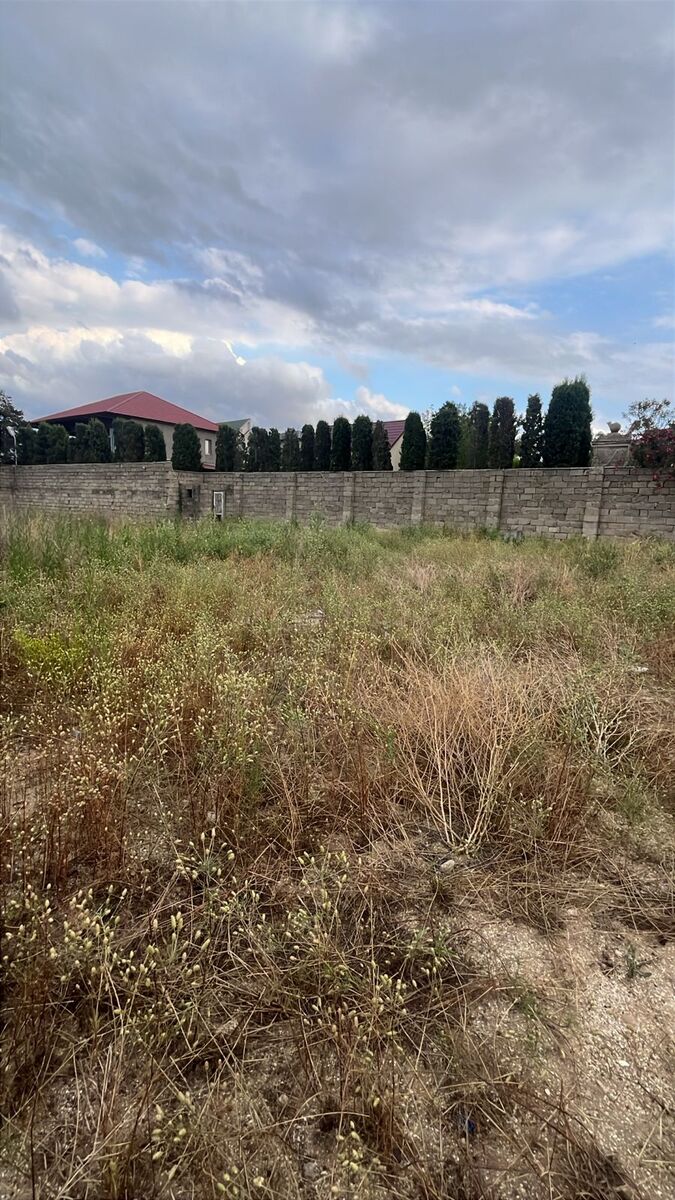 Satılır torpaq 29 sot — Torpaq, Bakı (3)