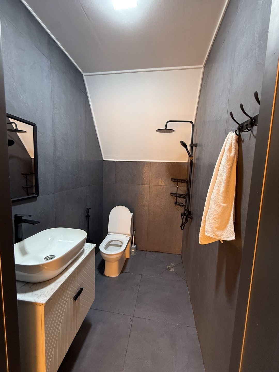Satılır 5 otaqlı həyət evi/bağ evi 100 m² — Ev, villa, Qəbələ (9)