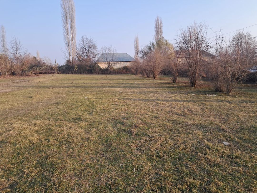 Satılır torpaq 25 sot — Torpaq, Göyçay (3)