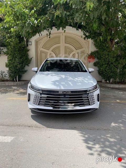 BYD Destroyer 05, 1.5 L, 8.3 kWh, 2025 il, 74 000 km