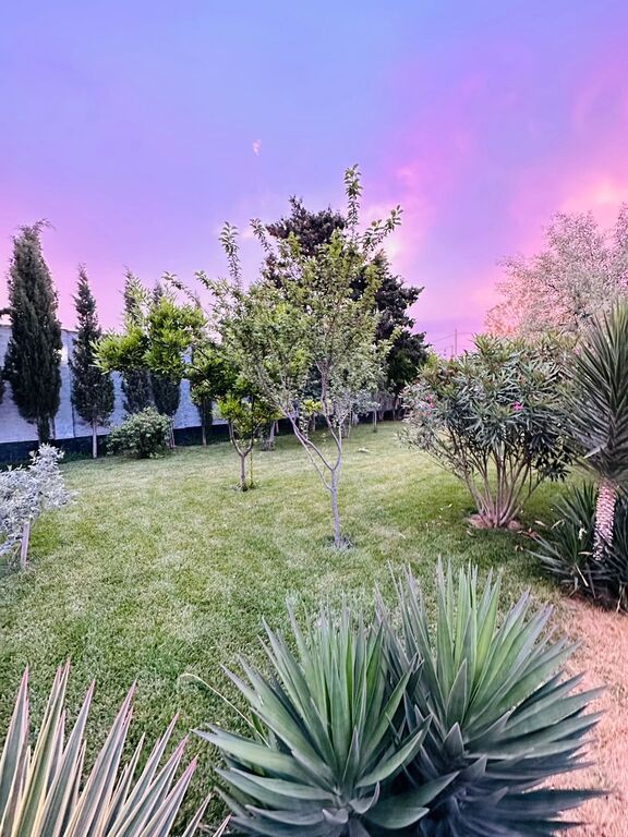 İcarəyə verilir 5 otaqlı həyət evi/bağ evi 500 m² — Ev, villa, Bakı (5)