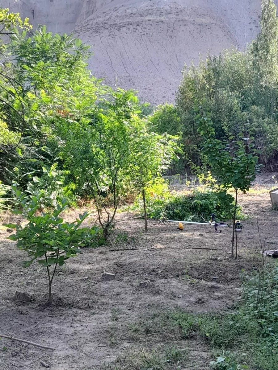 Bağ evi, Dəniz yolu 7-ci küç — Ev, villa, Mingəçevir (10)