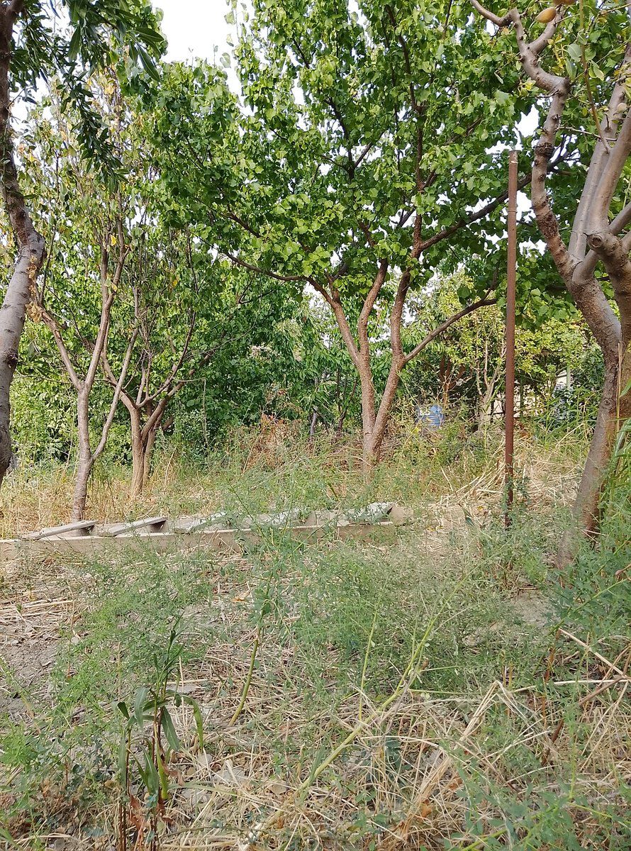 Villa, Masazır qəs — Ev, villa, Bakı (8)