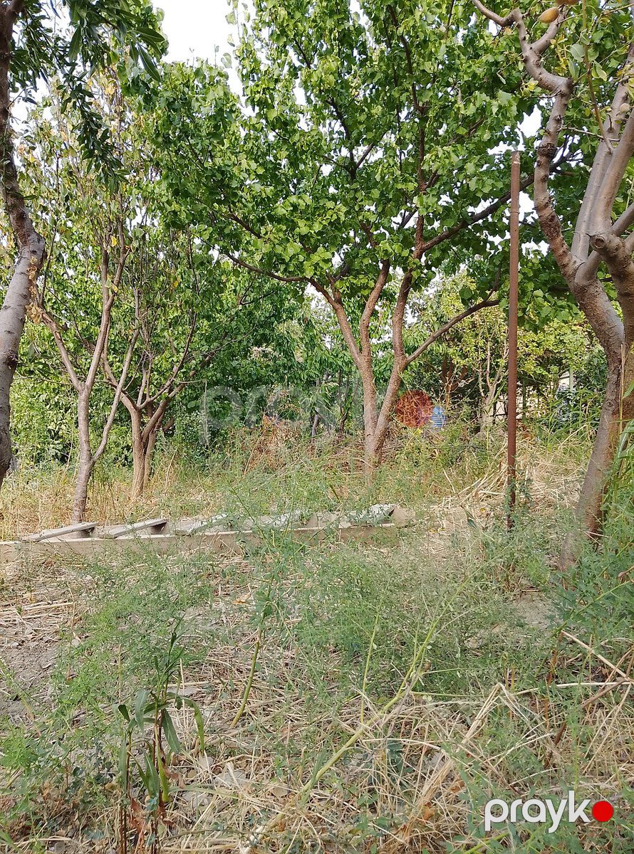 Villa, Masazır qəs — Ev, villa, Bakı (8)