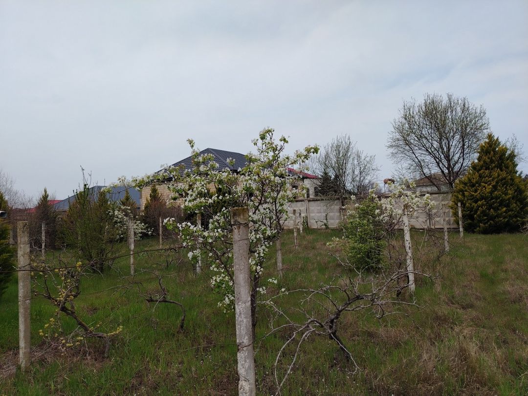 Satılır torpaq 15 sot — Torpaq, Bakı (4)