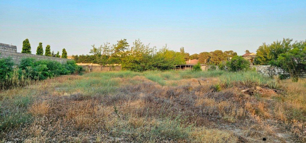 Satılır torpaq 25 sot — Torpaq, Bakı (7)