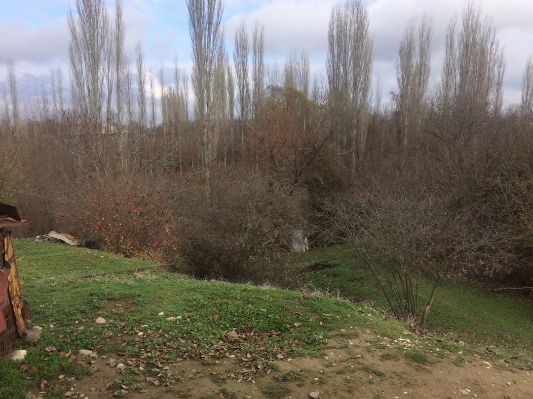 Satılır 3 otaqlı həyət evi/bağ evi 100 m² — Ev, villa, Şəki (7)