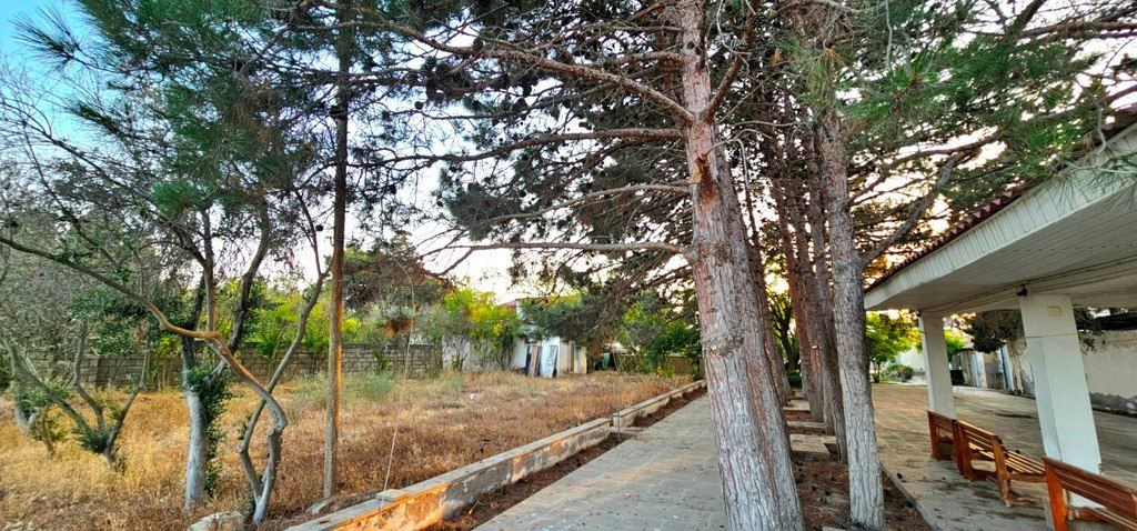 Satılır torpaq 25 sot — Torpaq, Bakı (9)