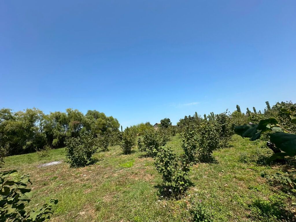 20 sot, Tikinti, Mülkiyyətçi, Kupça (Çıxarış) — Torpaq, Xaçmaz (6)