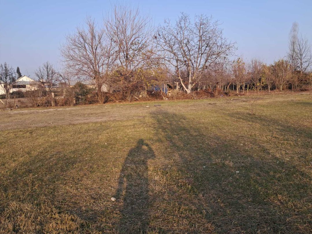 Satılır torpaq 25 sot — Torpaq, Göyçay (7)