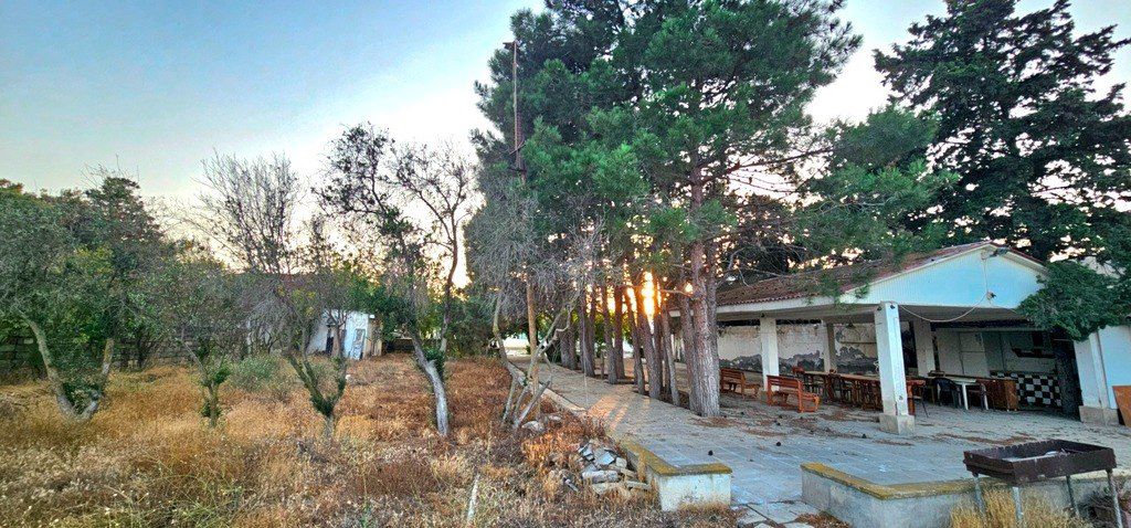 Satılır torpaq 25 sot — Torpaq, Bakı (11)