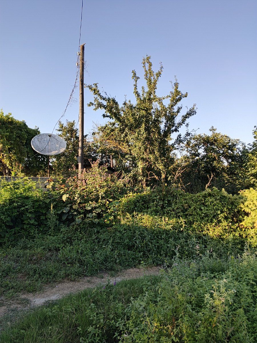Satılır 6 otaqlı həyət evi/bağ evi 220 m² — Ev, villa, Xudat (7)