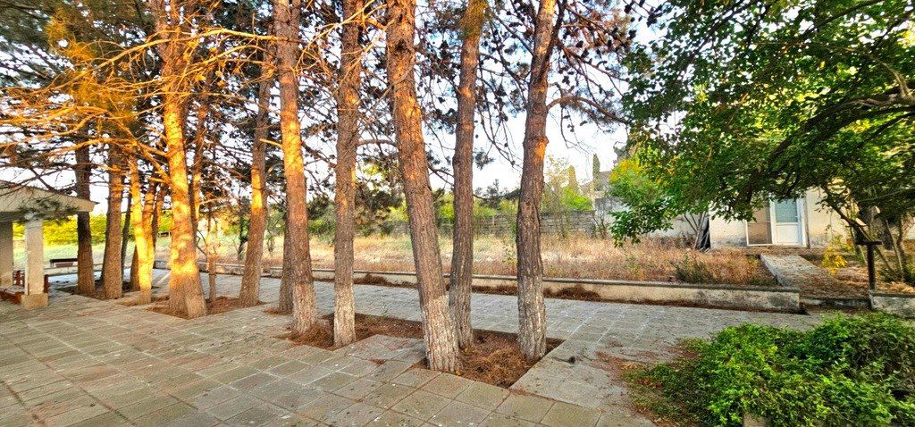 Satılır torpaq 25 sot — Torpaq, Bakı (5)