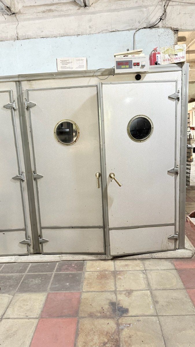 İnkubator aparatı — Biznes və avadanlıq, Masallı (3)