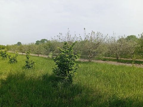 Satılır torpaq 26 sot — Bakı