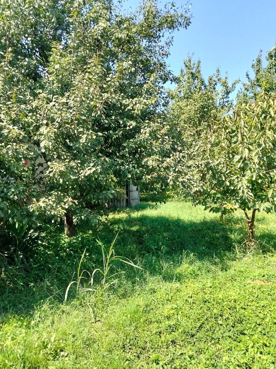 Bağ evi, Xaçmaz r — Ev, villa, Xaçmaz (3)