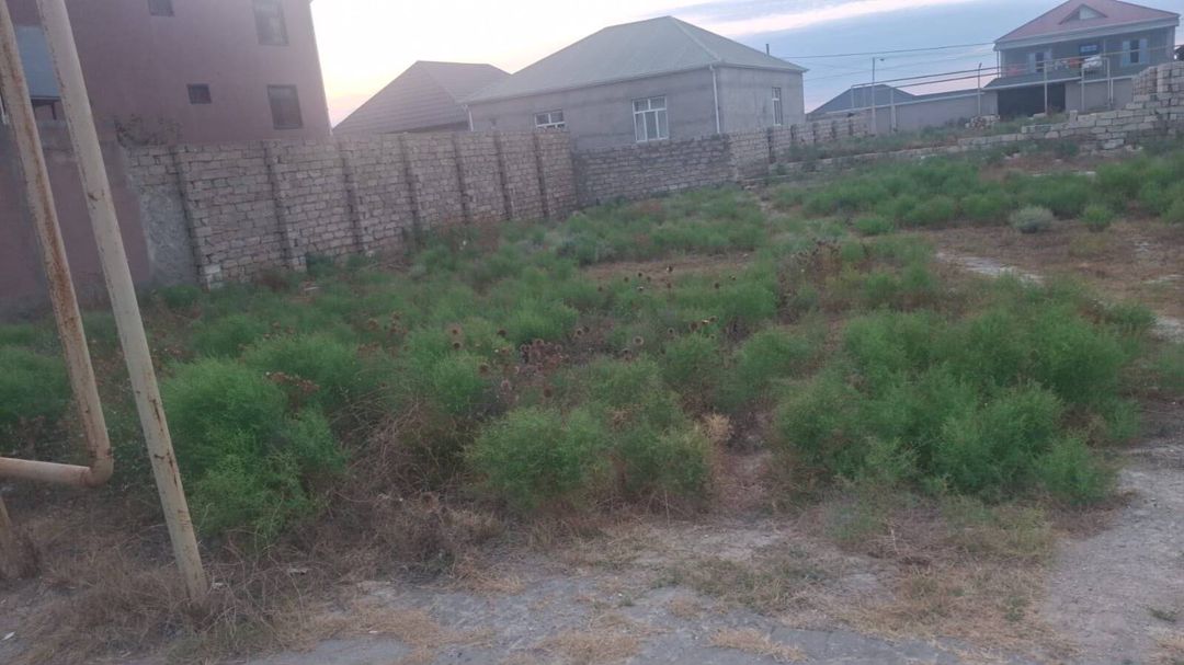 Satılır torpaq 6 sot — Torpaq, Bakı (3)