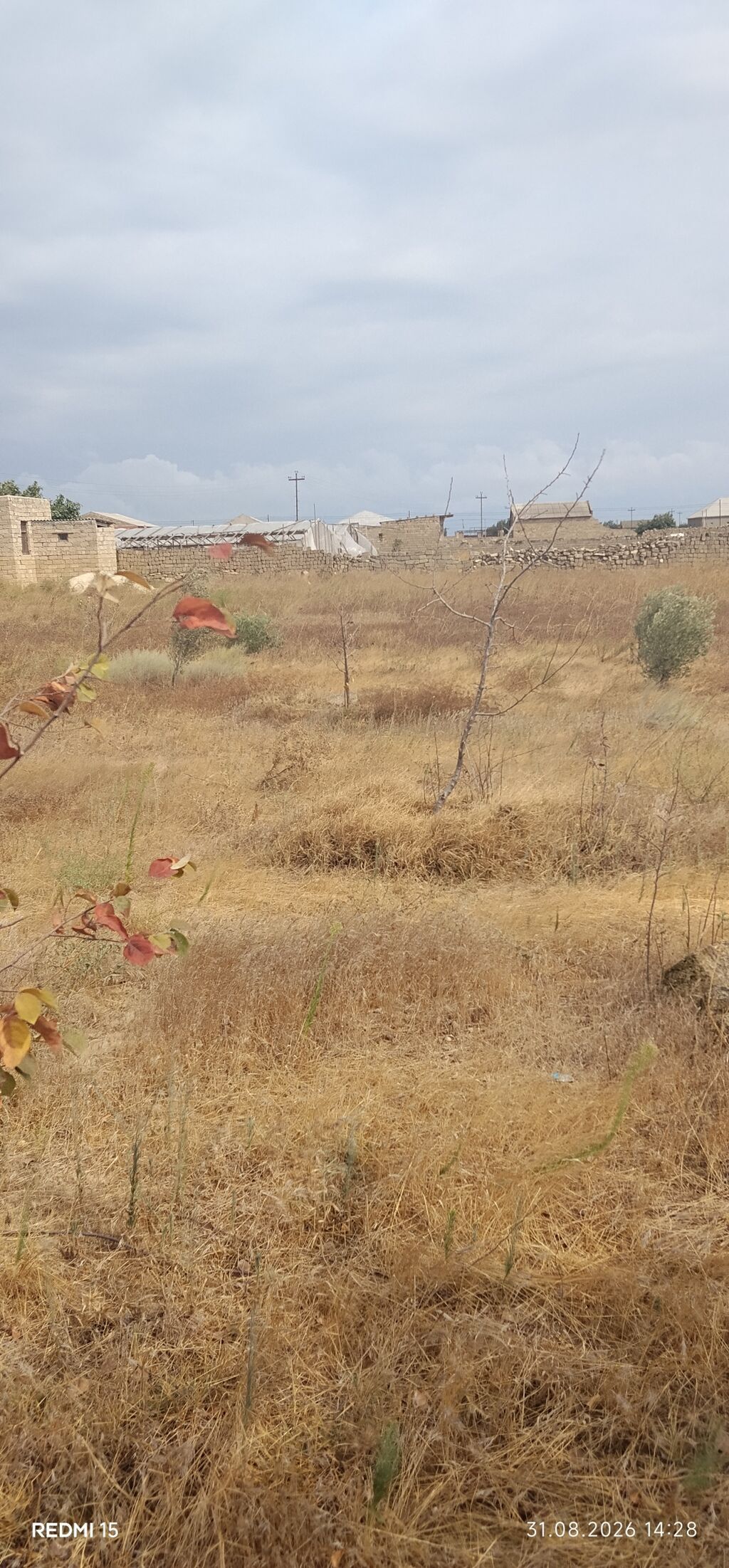 20 sot, Tikinti, Bələdiyyə — Torpaq, Bakı (6)