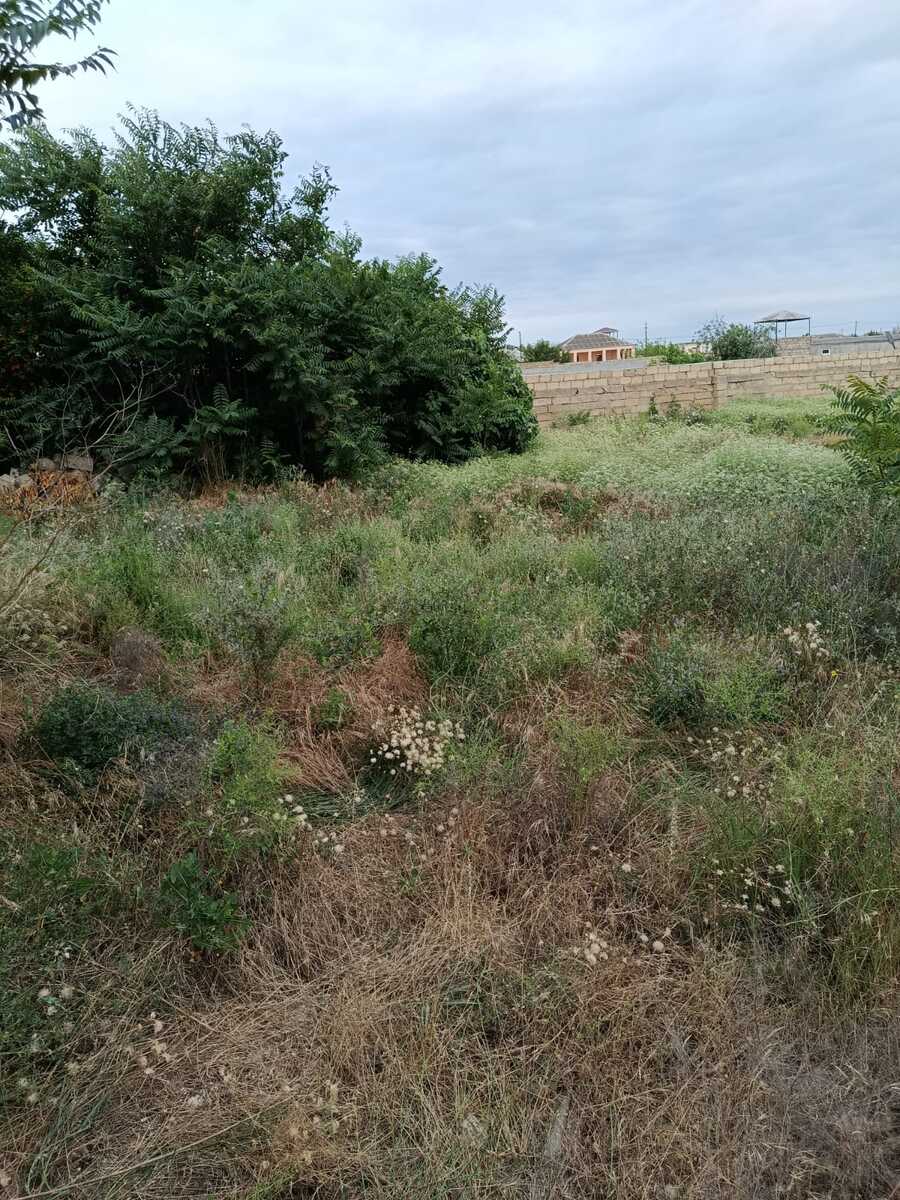 Satılır torpaq 9 sot — Torpaq, Bakı (2)