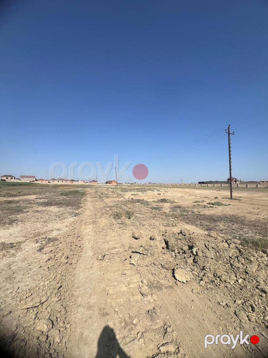 Satılır torpaq 544 sot — Torpaq, Bakı (12)