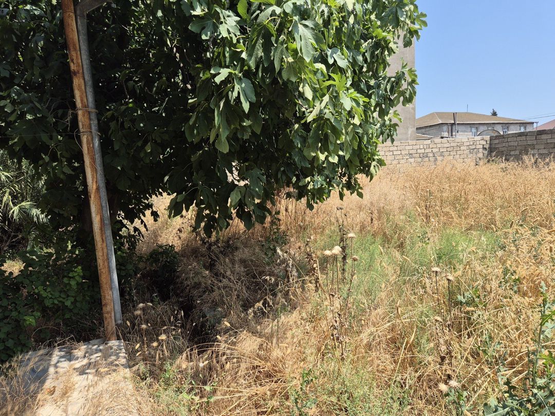 Satılır torpaq 7.5 sot — Torpaq, Bakı (2)