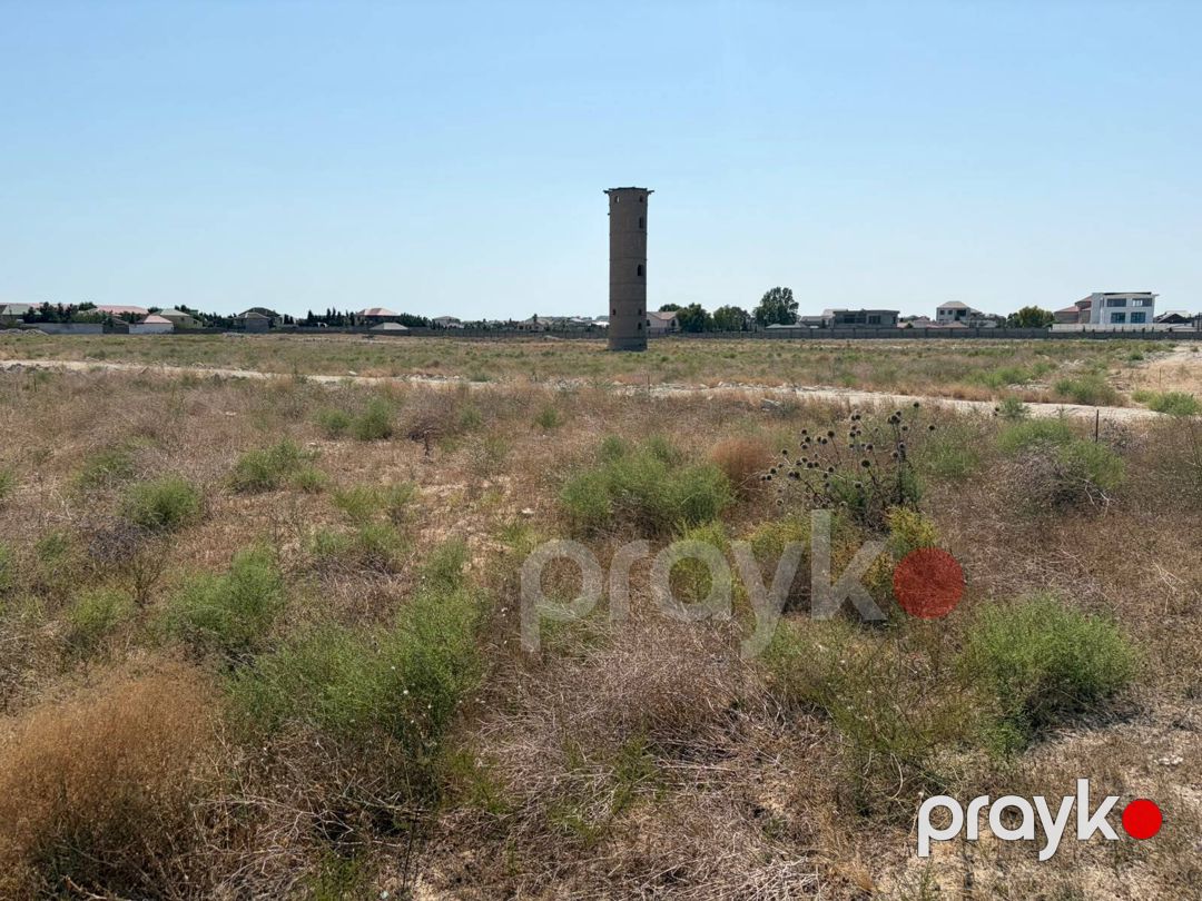Satılır torpaq 955 sot — Torpaq, Bakı (6)