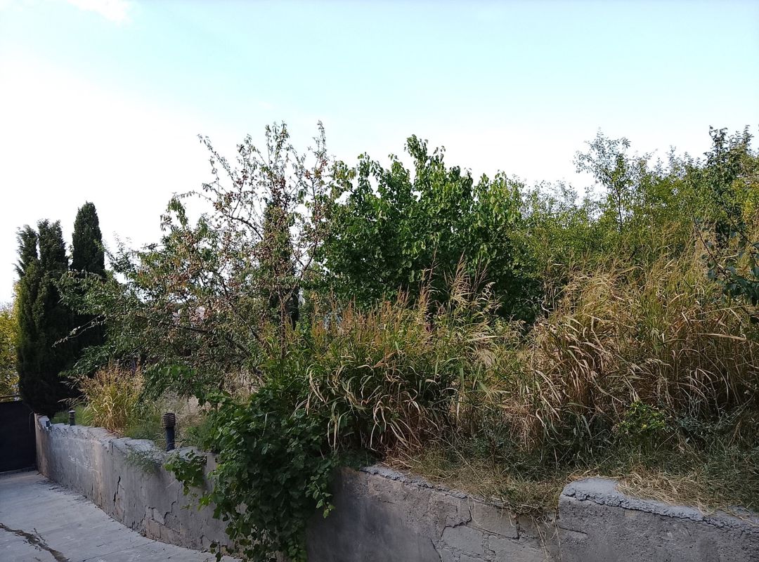 Villa, Masazır qəs — Ev, villa, Bakı (7)