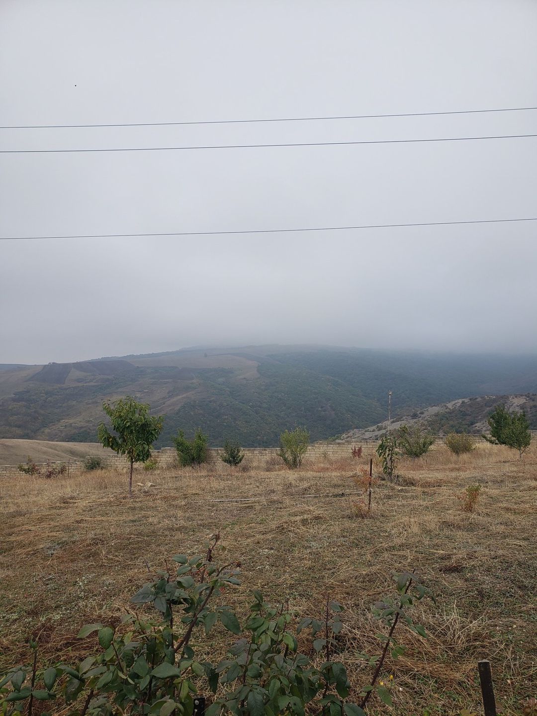 Satılır torpaq 30 sot — Torpaq, Şamaxı (5)