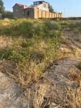 Satılır torpaq 5 sot — Ağamusa