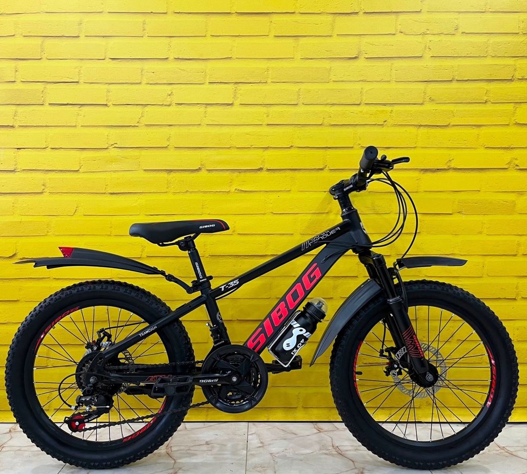 Velosiped 20 (Sibog-T35) — Velosipedlər, Bakı (3)