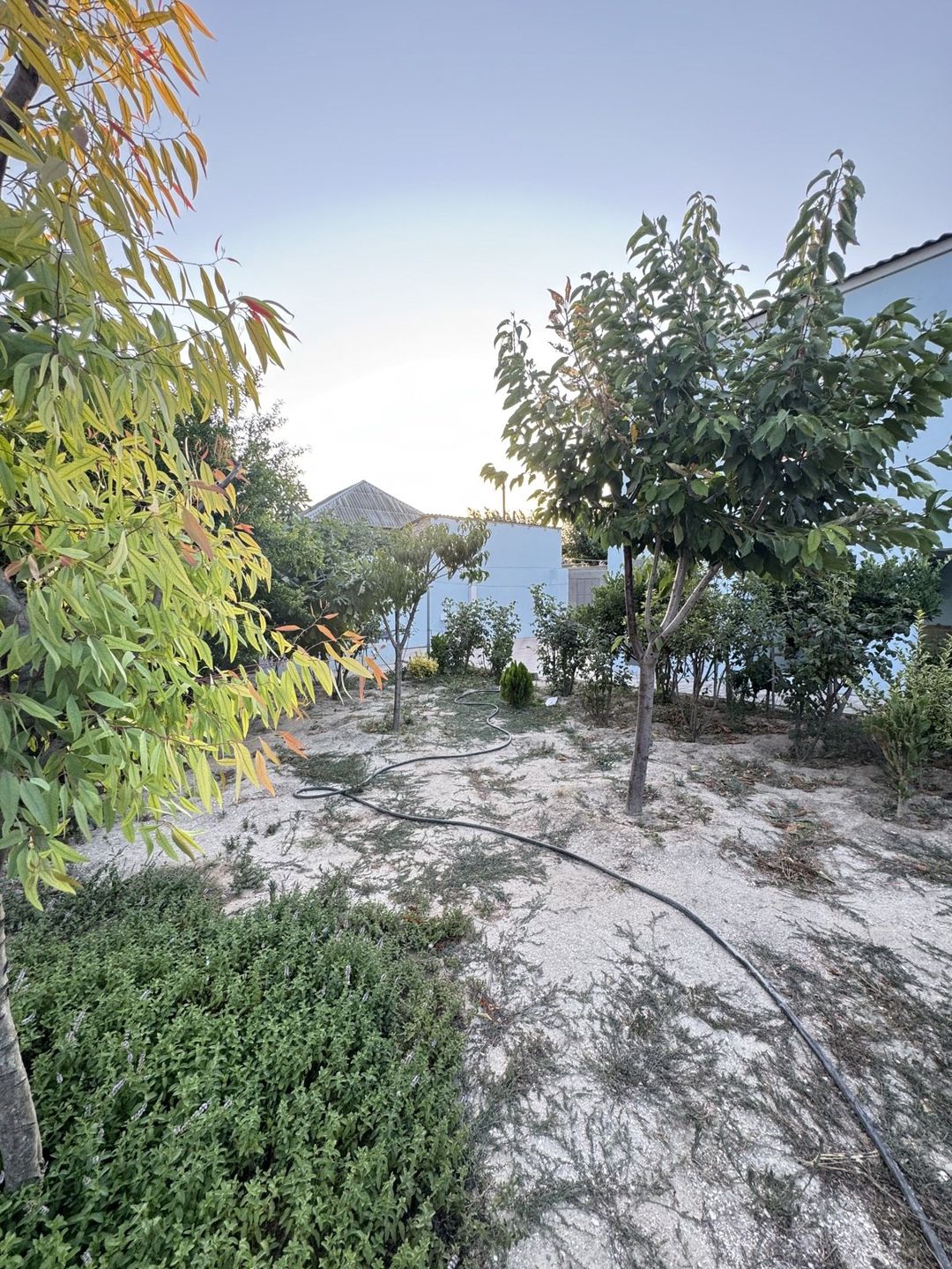 Satılır 4 otaqlı həyət evi/bağ evi 160 m² — Ev, villa, Bakı (3)