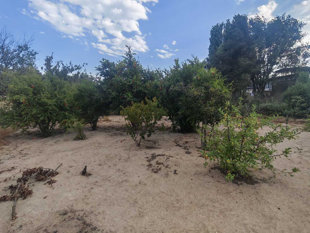 Satılır torpaq 3 sot — Torpaq, Bakı (9)