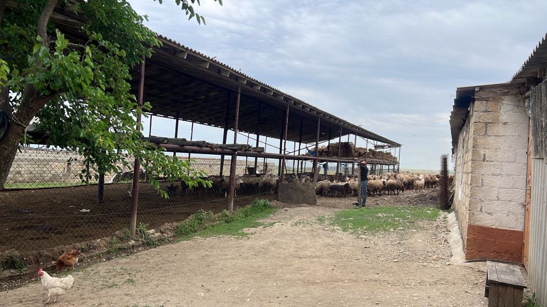 100000 sot torpaq sahəsi, Şabran r — Torpaq, Şabran (3)