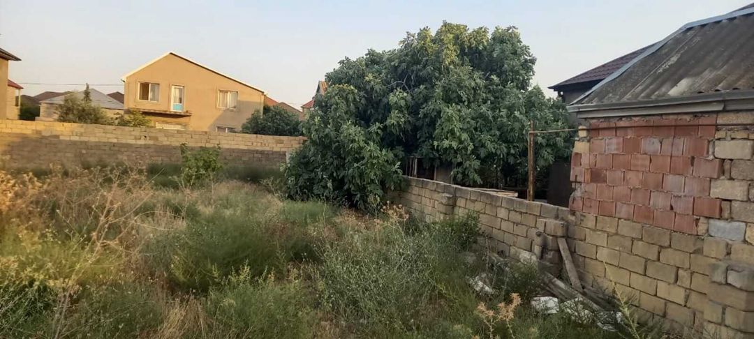 Satılır torpaq 10 sot — Torpaq, Bakı (3)
