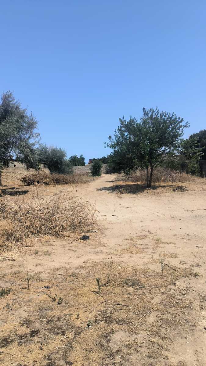 Satılır torpaq 24 sot — Torpaq, Bakı (4)