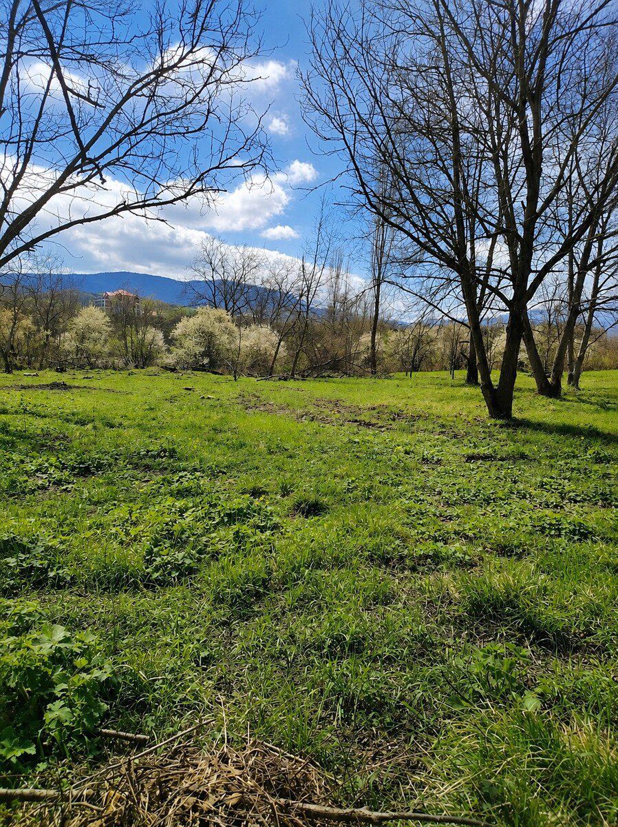 Satılır torpaq 12 sot — Torpaq, Quba (6)