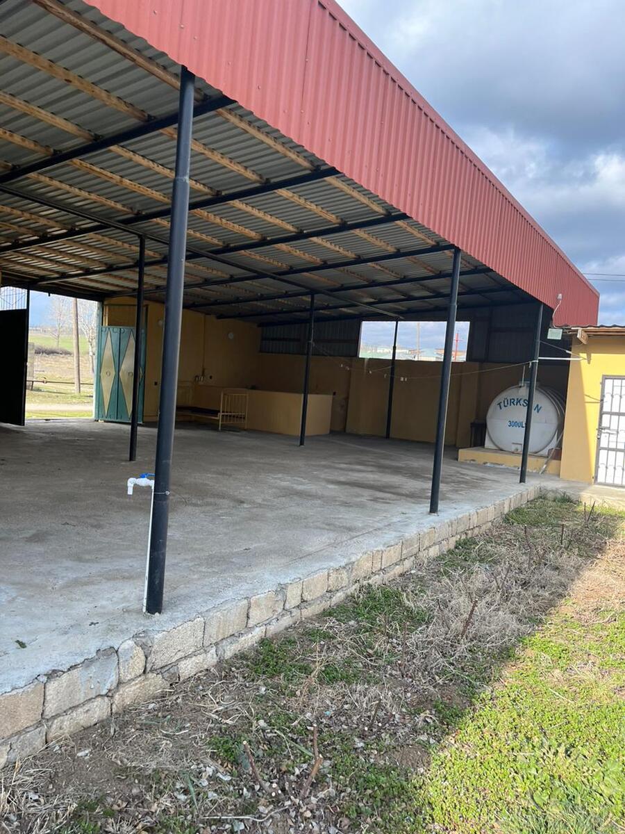 Satılır 7 otaqlı həyət evi/bağ evi 220 m² — Ev, villa, Şamaxı (9)