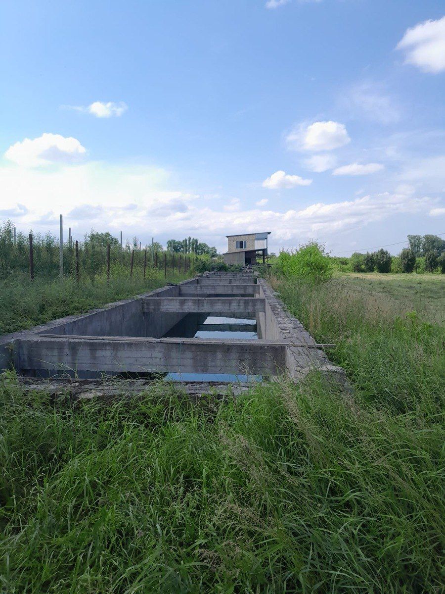 Satılır torpaq 150 sot — Torpaq, Quba (2)